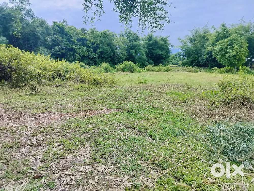 4.5 katha myadi patta land Near Science College Jorhat
