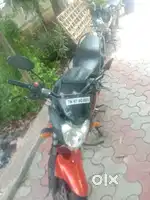 Fzs 2013 model