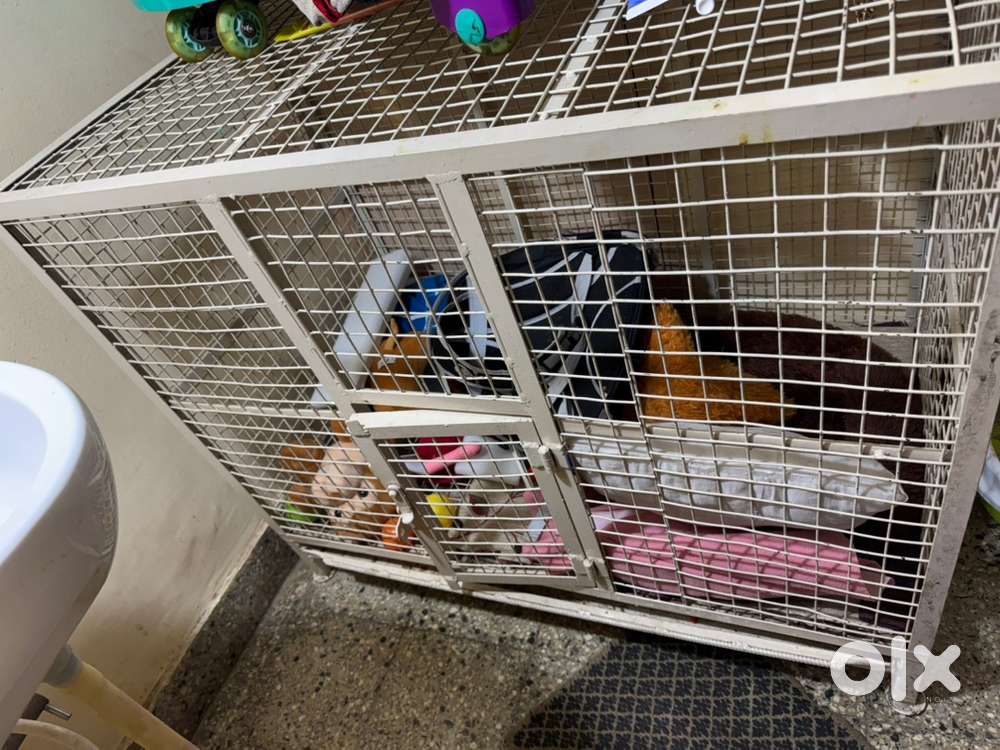 Cage for cats