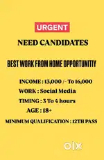 BEST WORK FROM HOME OPPORTUNITY