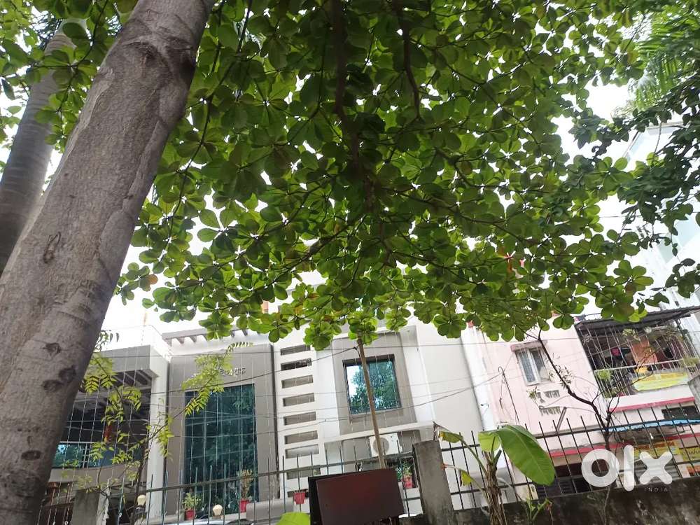 पेशेंट केयर टेकर के लिए लड़का , लड़की , महिला की जरूरत है उम्र 18=40