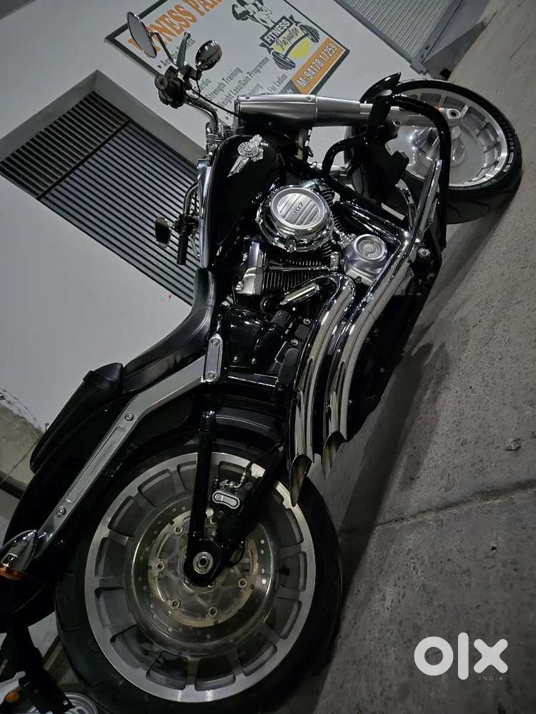 Harley fatboy