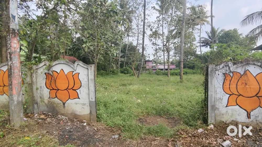 Plot for sale in Thrissur kodakara
