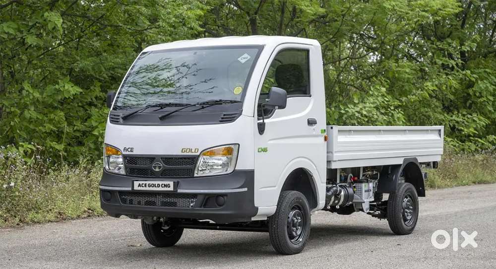 Tata ace Tempo driver