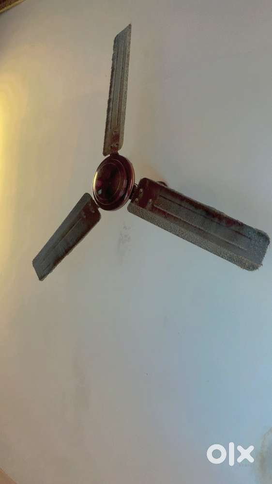 Ceiling Fan – 3 Months Used, Perfect Condition