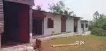 Industrial building/Goudon  for sale/lease