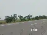 Nh 31 नारायणपुर 8 एकड़
