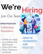 Field Collection Executive