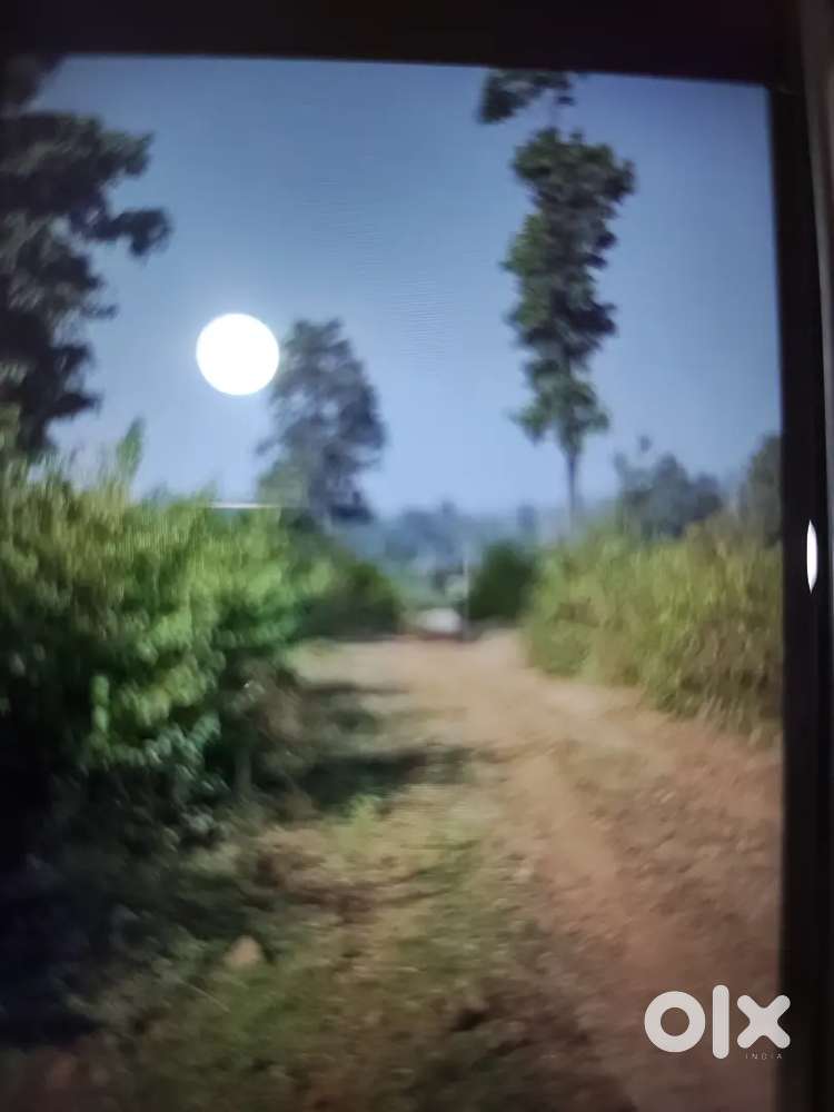 3.5 acre st land sale Krna h kanha National park mandla  sarhi gate me