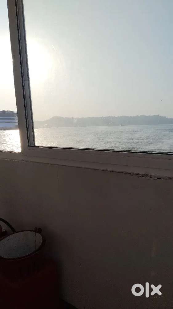 Hiring for content creator, online digital marketing