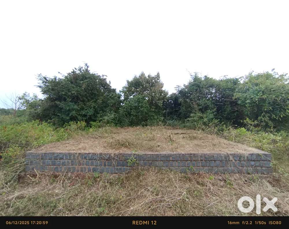 Premium Plots for Sale in Sattur — Near Mother Theresa School