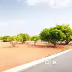 Residential Plots and land