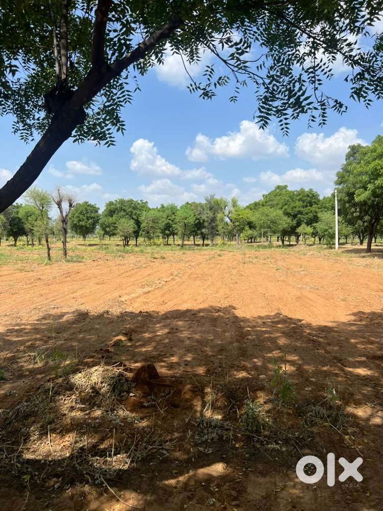 9.44 lakh main 111.11 guz 90A Approved plot Mehla ajmer road ke pass