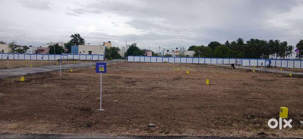 THULIR AVENUE NORTH- EAST CORNER PLOTS  FOR AVAILABLE
