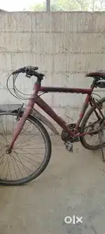 Montra trance pro