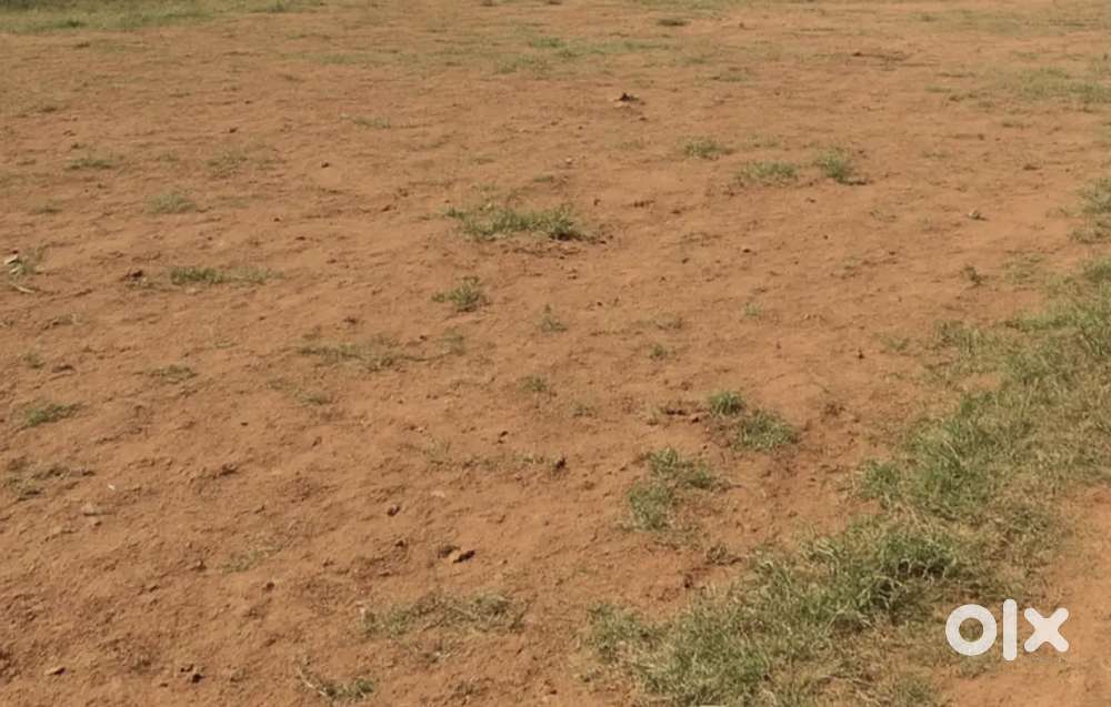 11 Cent Residential Land for Sale – Srivilliputur,Thiruvannamalai area