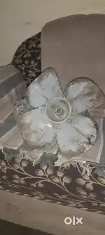 Agzoss fan
