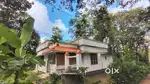 House and land