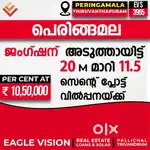 11 cent residential / commercial plot for sale in Peringamala