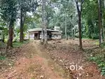 Land with house ( 56.35 cents )