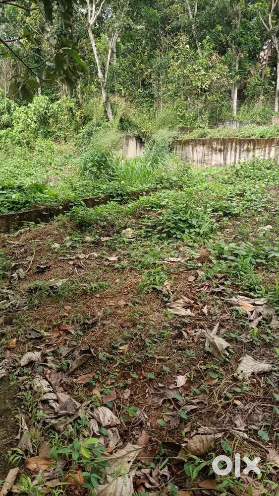 പേരൂർക്കട nv nagar 6cent സെന്റിനു 14ലക്ഷം