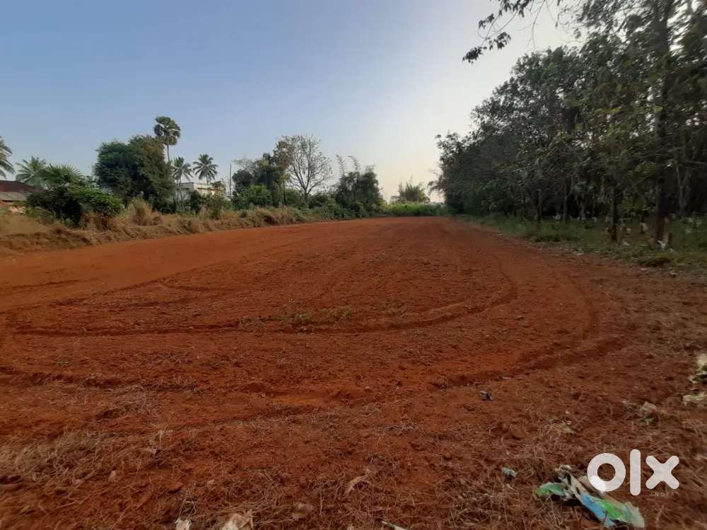 , 42 cent parambu for sale...