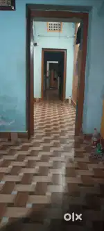 Need a room mate