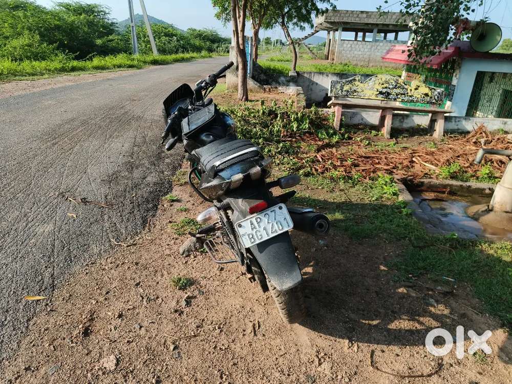 Pulsar 150 CC
