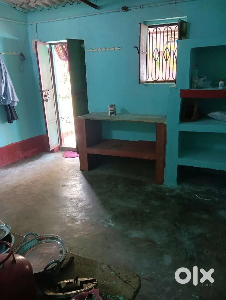 Bikash nagar