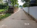 6 cents residential plot For sale at   Thiruvankulam.