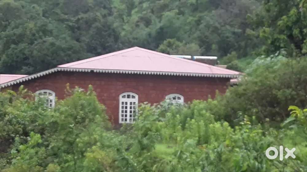 OPEN PLOT  WITH FENCING