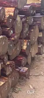 Want investor for wood export and trading business urgently