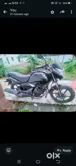 Unicorn for sale