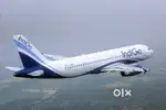 Cabin Crew/ Airport Ground Staff Jobs in Indigo airlines.
