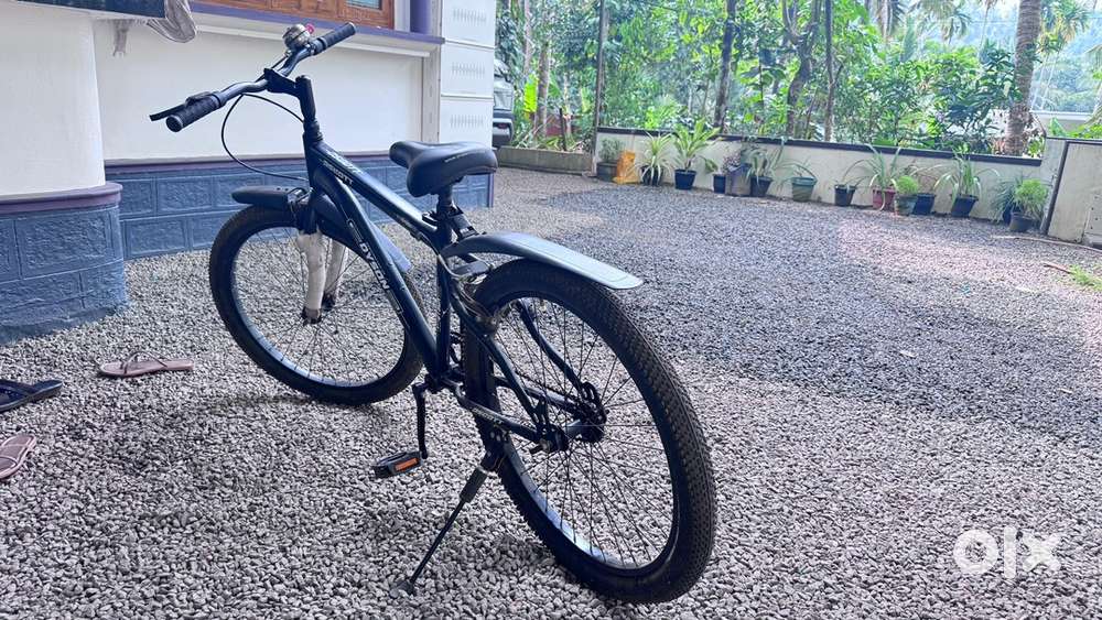 Bicycle (used for 3 months only)