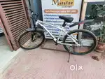 Urban terrain bicycle
