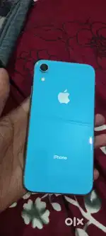 I  phone  xr