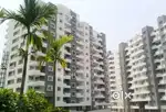 Vanalika society