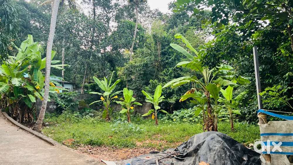 Plot for sale  അത് Balaamapuram Euthavoor