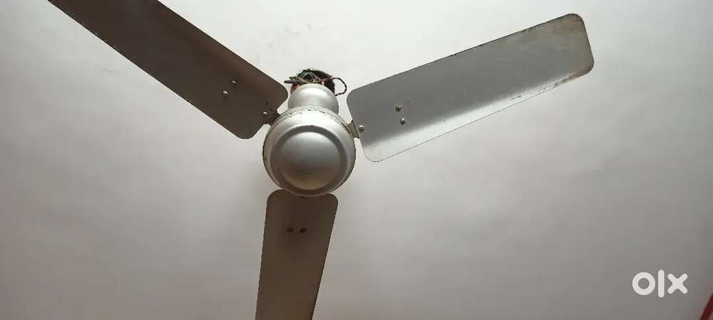 Fan ceiling fan