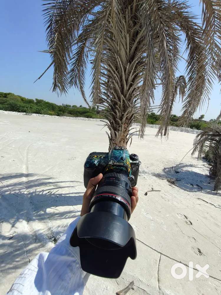 CANON 6D MARK ‼️ A1 CANDISION