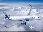 Direct Opening In indigo Airlines job opportunities