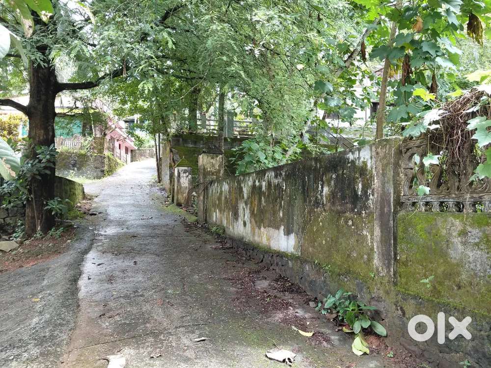 Kottayam. Vadavaathoor. 10,5 cents. K. K. Road. 1.km