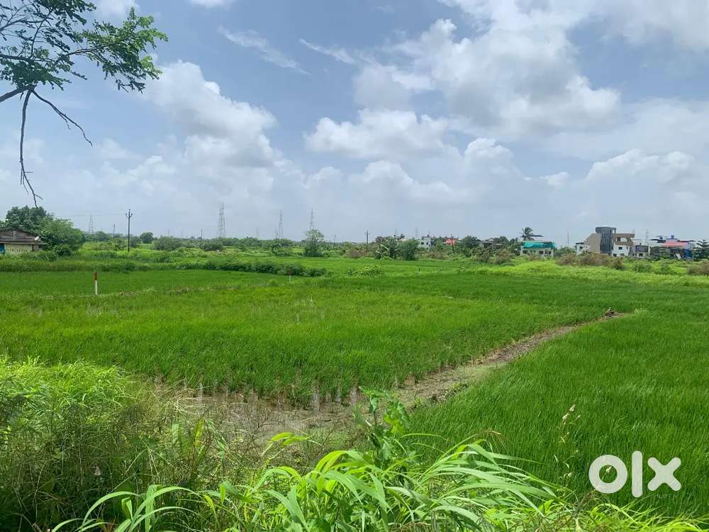 Plot Near Ranjanpada Local station