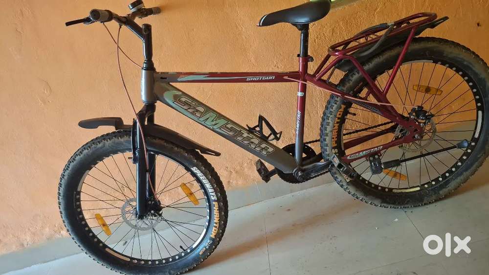6 month old cycle for adults