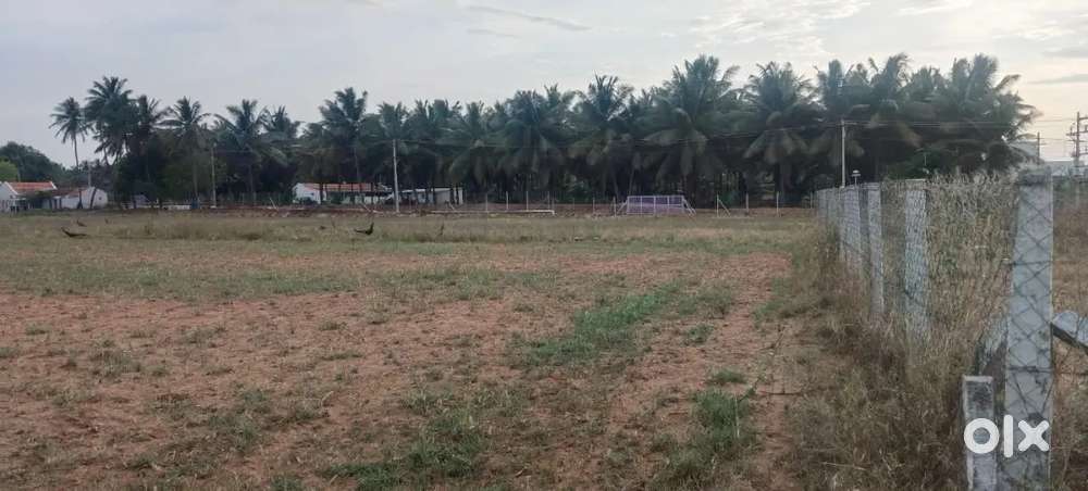 Location Ichipatti Karanampettai  239 final rate 760000 only