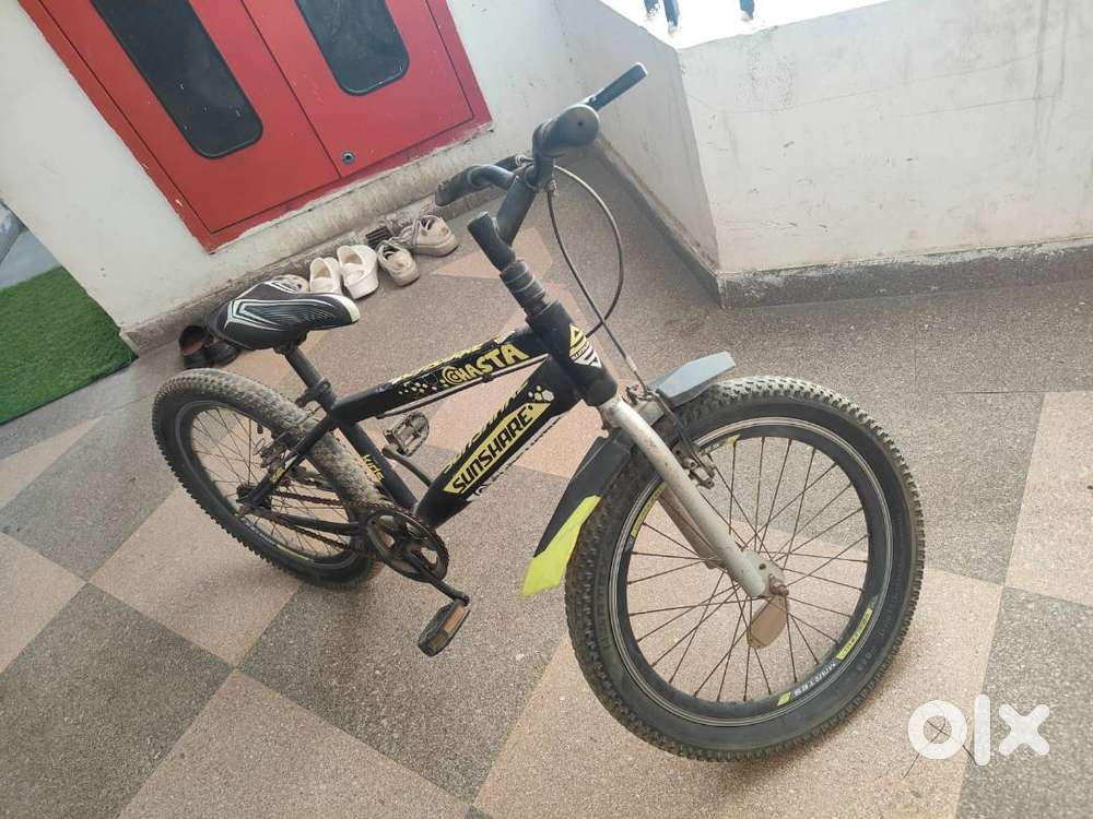 Sunshare @Hasta Cycle (2023 Model)