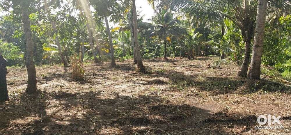 Residential Land near Haripad