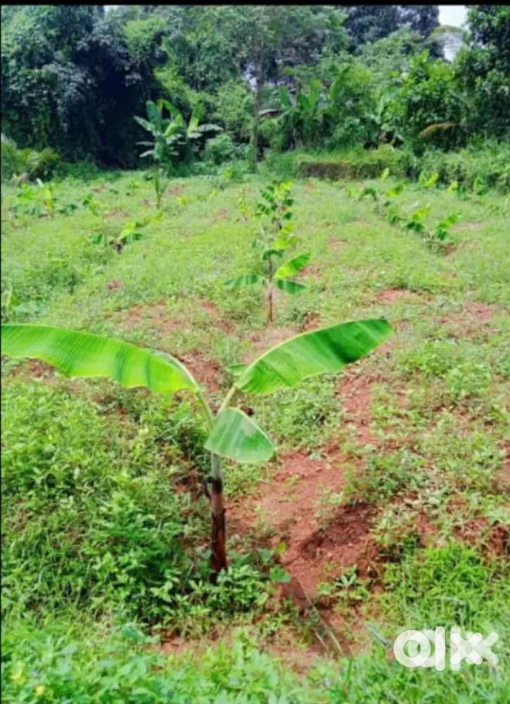 വീട് പണിയുന്നതിന് അനുയോജ്യം