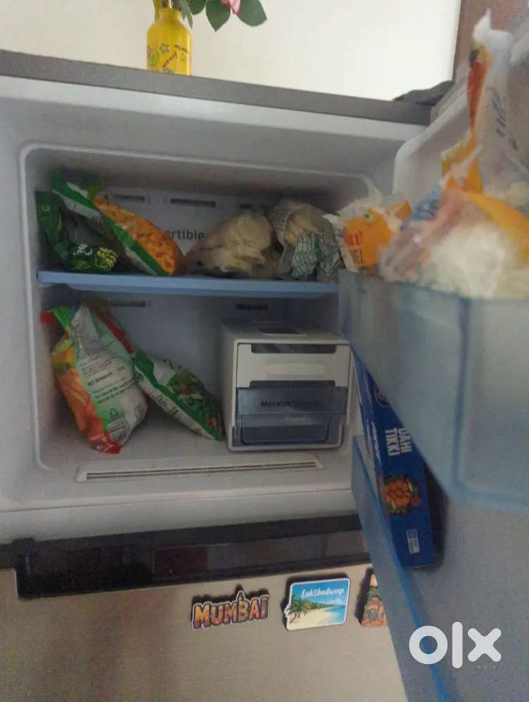 Fully functional 321 liters double door inverter fridge